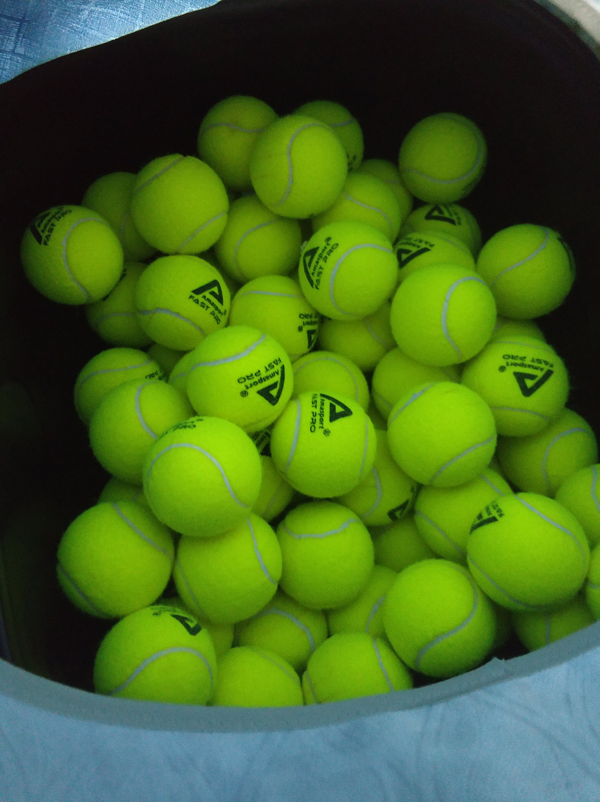 在与王楚钦 在与王楚钦